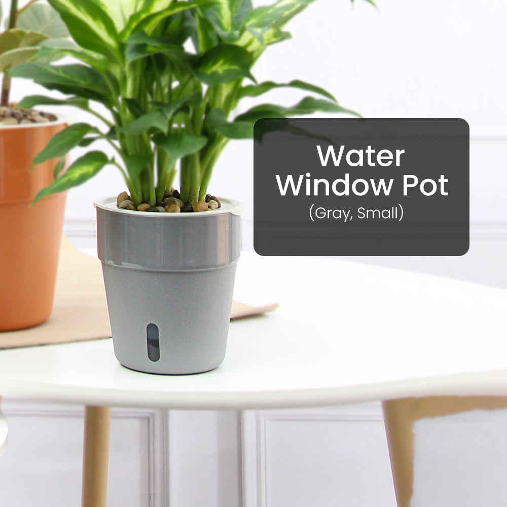 Locaupin Cylinder Pot with Water Window Self Watering Planter Home Indoor Outdoor Gardening For Flowers Plants Balcony Decoration