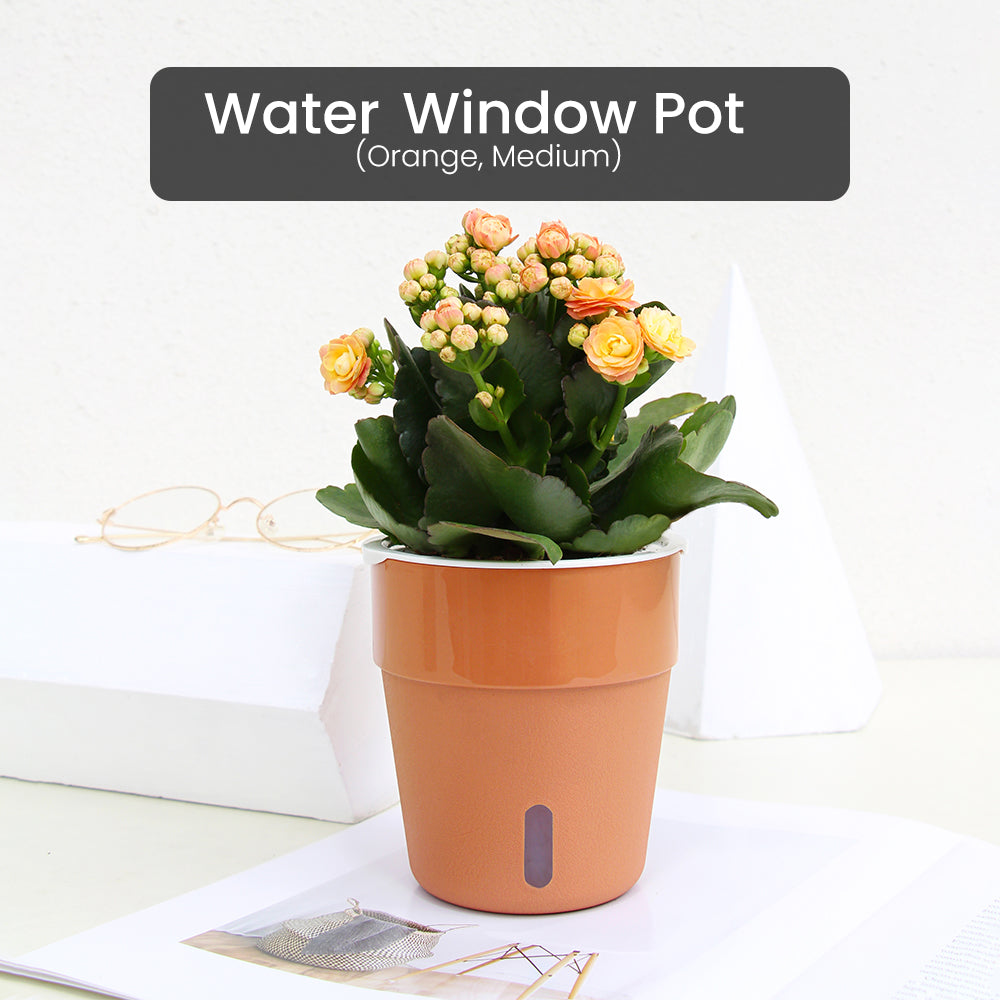 Locaupin Cylinder Pot with Water Window Self Watering Planter Home Indoor Outdoor Gardening For Flowers Plants Balcony Decoration