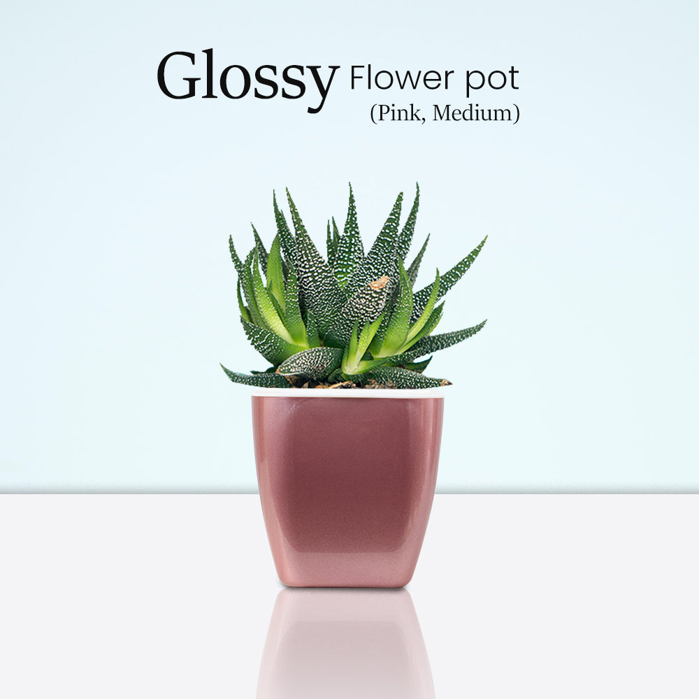 Locaupin Glossy Design Plastic Plant Pot Self Watering System Indoor Outdoor Gardening Planter With Detachable Inner Basket