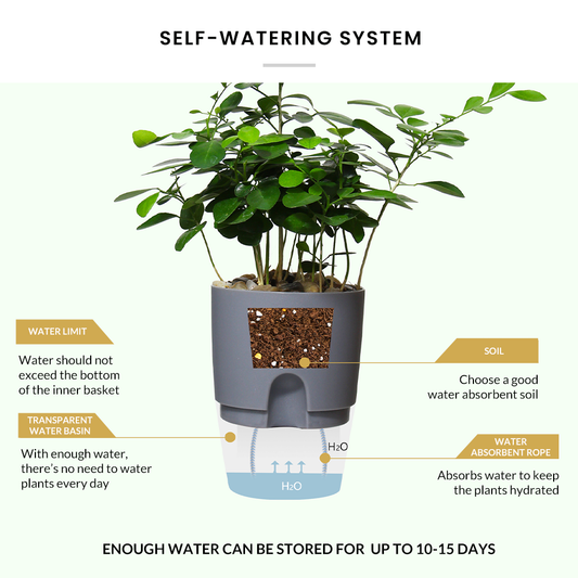 Locaupin Water Inlet Self Watering Pot Indoor Outdoor Flower Plants Modern Planter Clear Bottom Storage Decorative Home Gardening