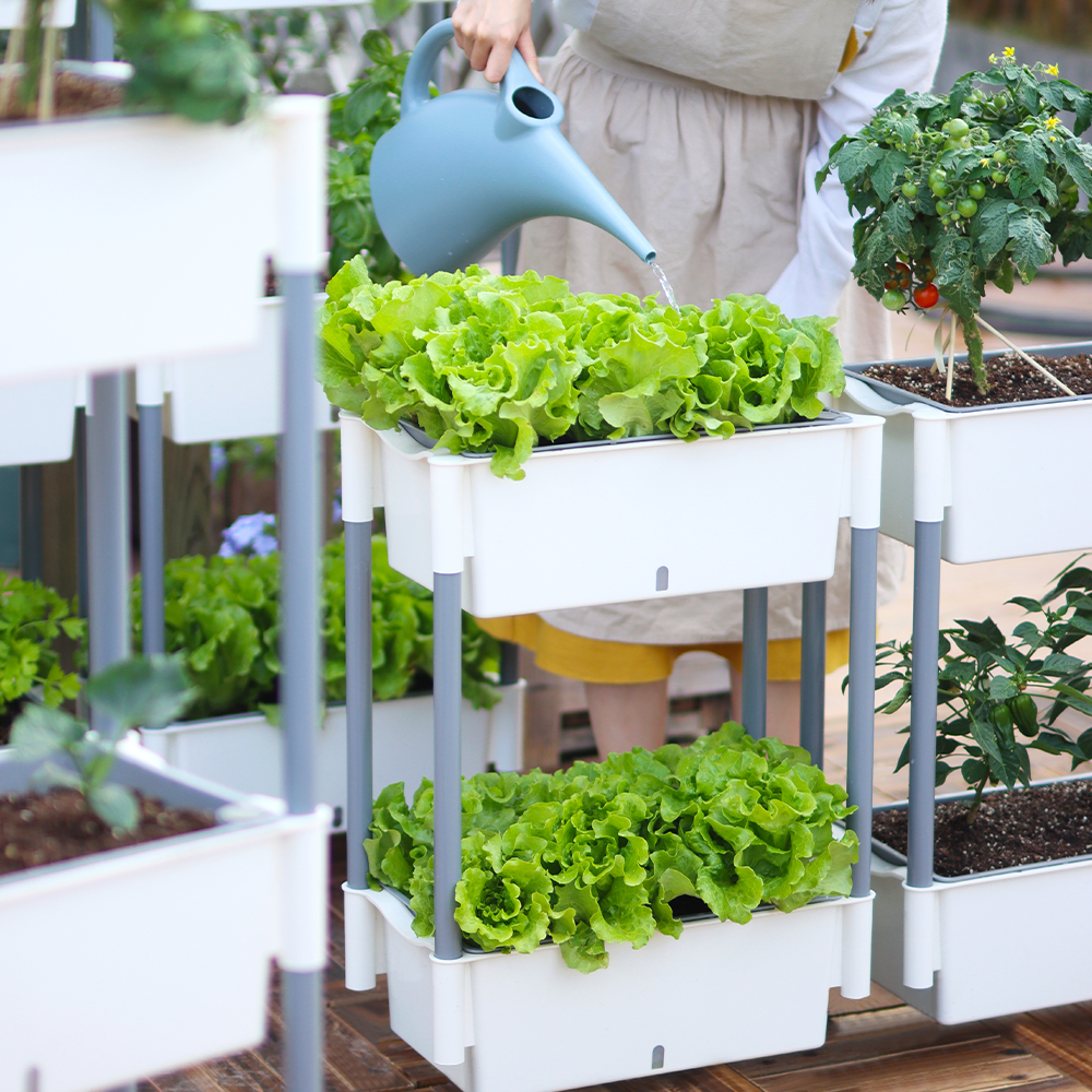 Locaupin 2 Layer Rectangular Self Watering Planter Shelf with Wheels and Water Level Indicator For Indoor Outdoor Home Gardening Flower Plants