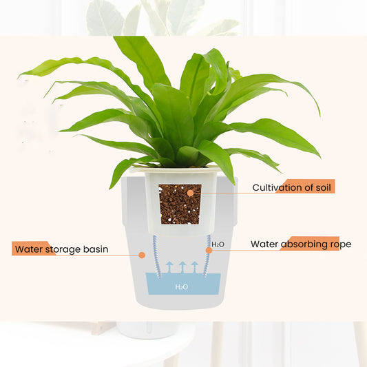 Locaupin Cylinder Pot with Water Window Self Watering Planter Home Indoor Outdoor Gardening For Flowers Plants Balcony Decoration