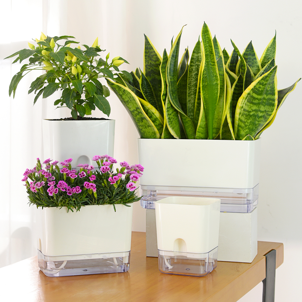 pots for plants ph Locaupin Magnetic Water Bottom Storage Basin Self Watering System Plan – LocaupinPH