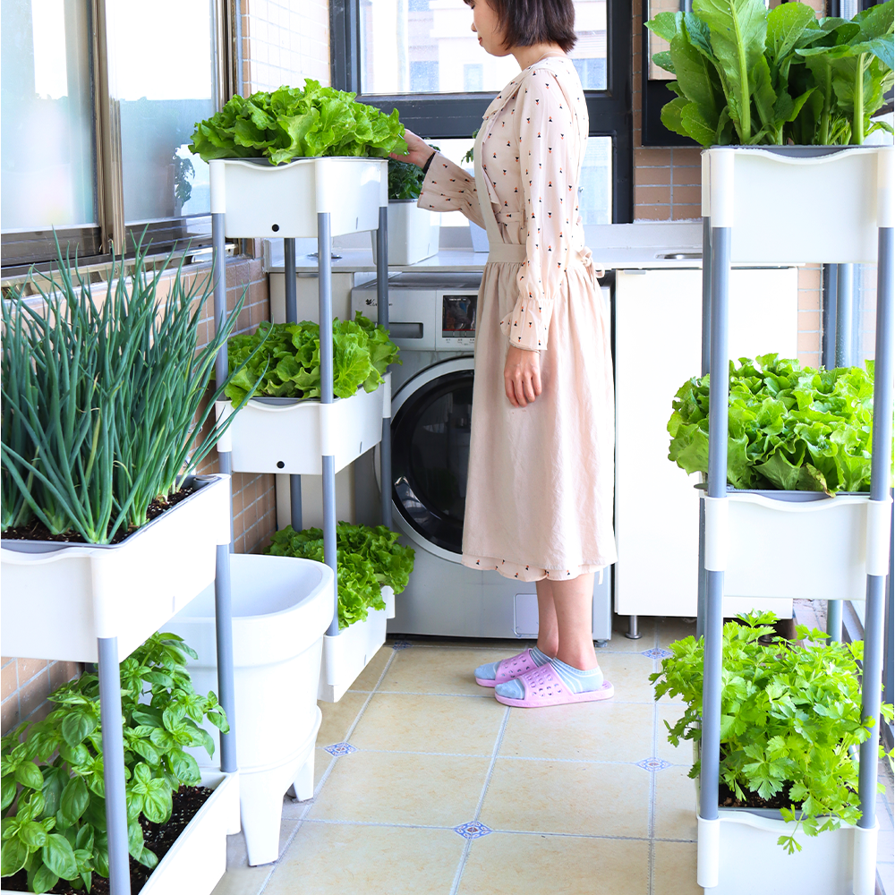 Locaupin 2 Layer Rectangular Self Watering Planter Shelf with Wheels and Water Level Indicator For Indoor Outdoor Home Gardening Flower Plants