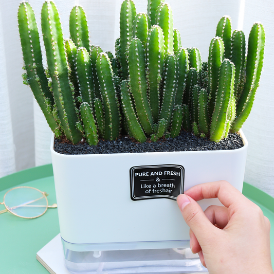 Locaupin Magnetic Water Bottom Storage Basin Self Watering System Plants Flower Pot Indoor Outdoor Planter