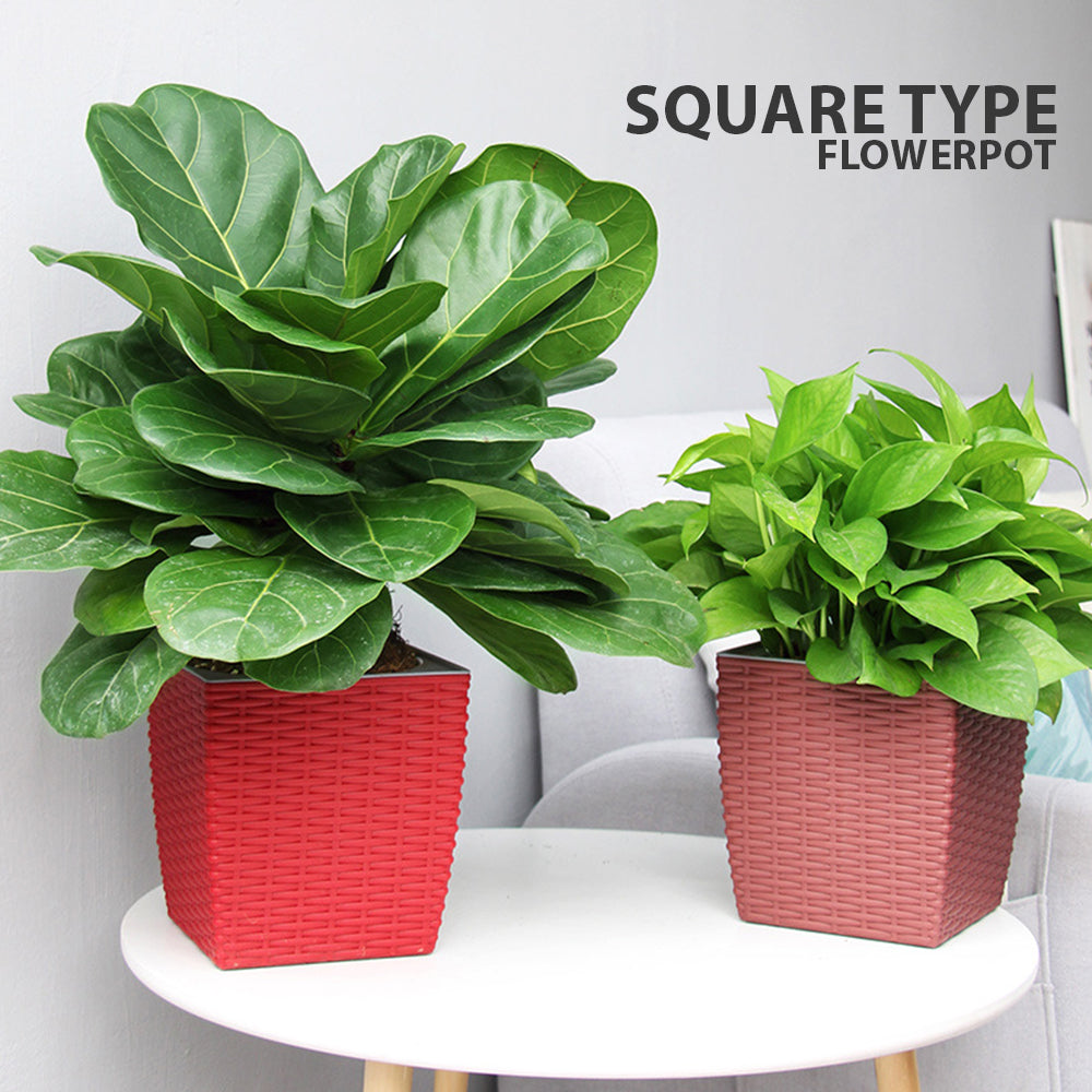 Locaupin Nordic Style Self Watering Garden Planter with Removable Inner Pot Indoor Outdoor Plants Herbs Flowers Storage