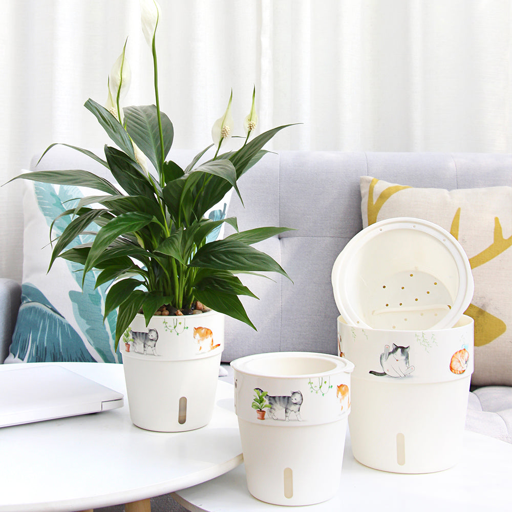 Locaupin Self Watering Flower Pot Indoor Outdoor Home Gardening Modern Plastic Planter with Water Level Window Soil Storage