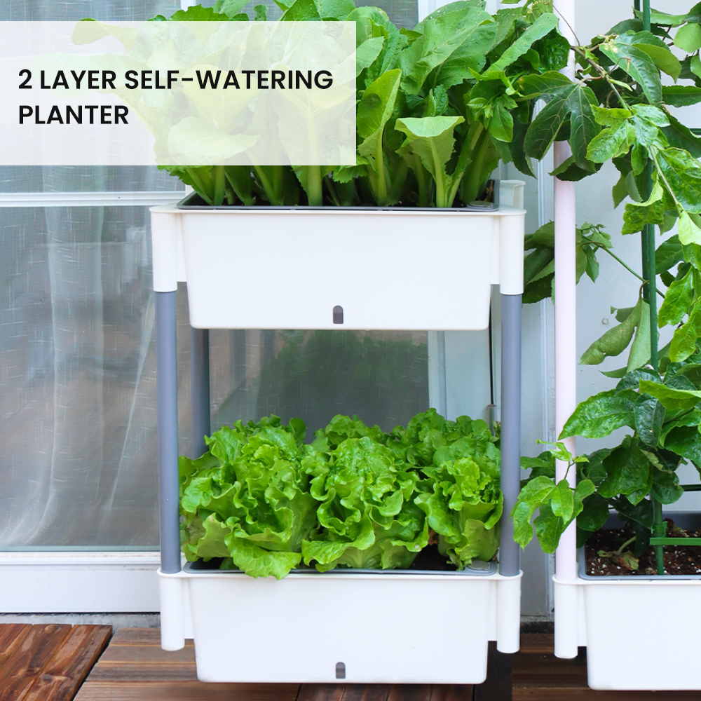 Locaupin 2 Layer Rectangular Self Watering Planter Shelf with Wheels and Water Level Indicator For Indoor Outdoor Home Gardening Flower Plants