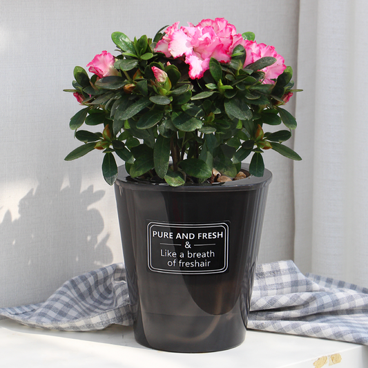 Locaupin Plastic Metallic Shade Indoor Outdoor Decorative Smart Self Watering System Flower Pot with Inner Basket Storage Planter