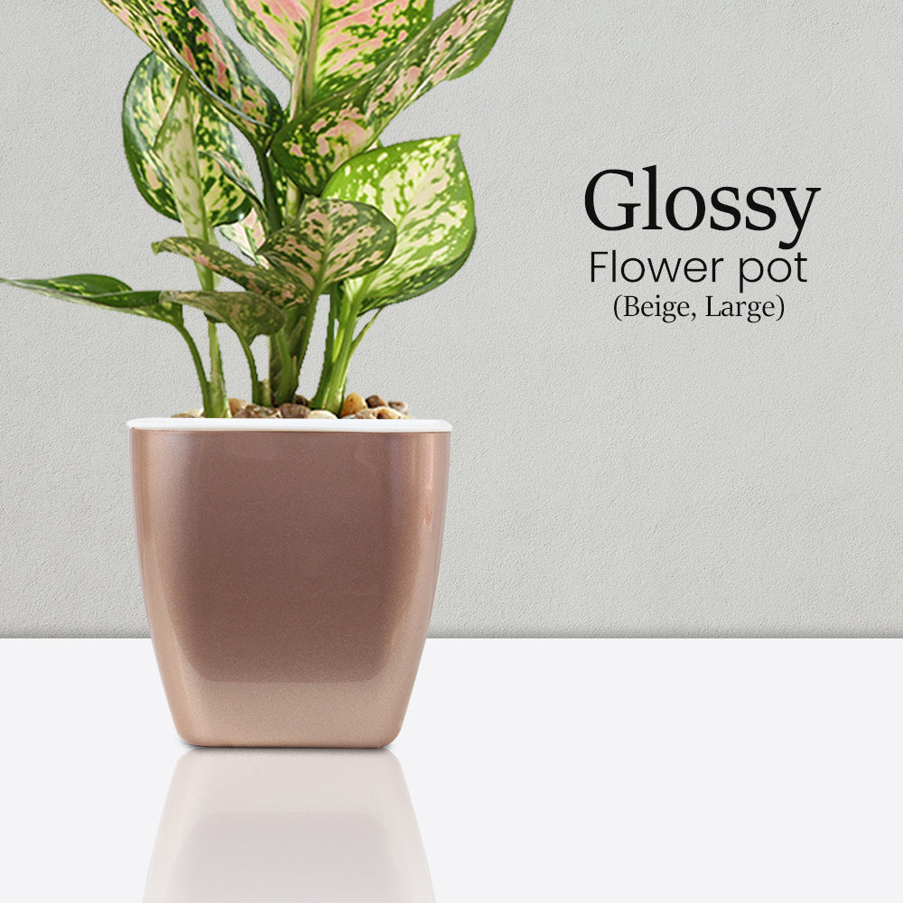 Locaupin Glossy Design Plastic Plant Pot Self Watering System Indoor Outdoor Gardening Planter With Detachable Inner Basket