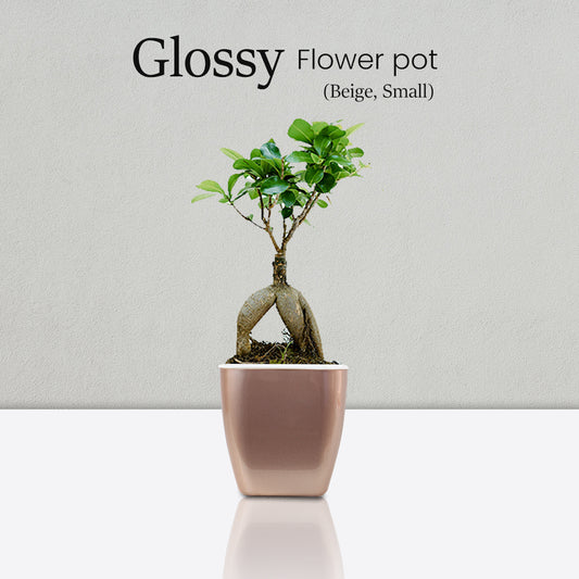 Locaupin Glossy Design Plastic Plant Pot Self Watering System Indoor Outdoor Gardening Planter With Detachable Inner Basket