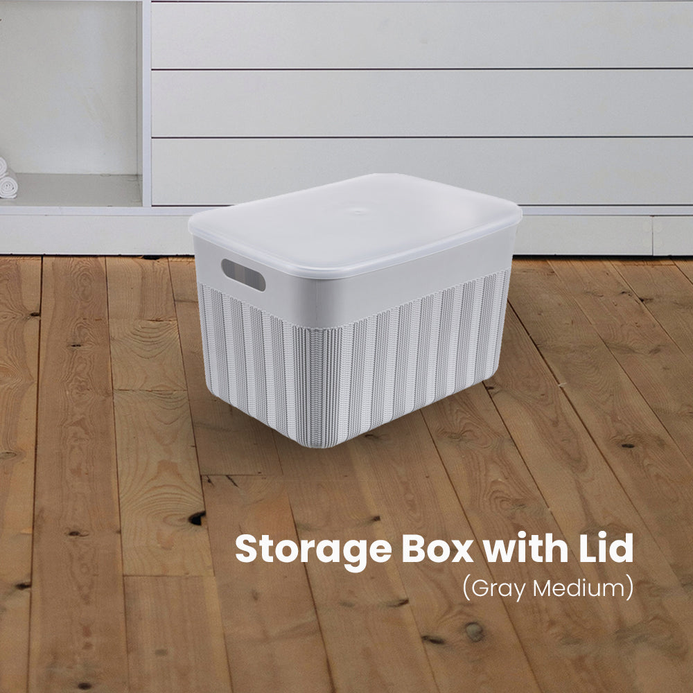 Locaupin Decorative Minimalist Wardrobe Storage Box with Cover Multifunctional Underwear Clothes Toys Books Cabinet Bedroom Organizer (Small)