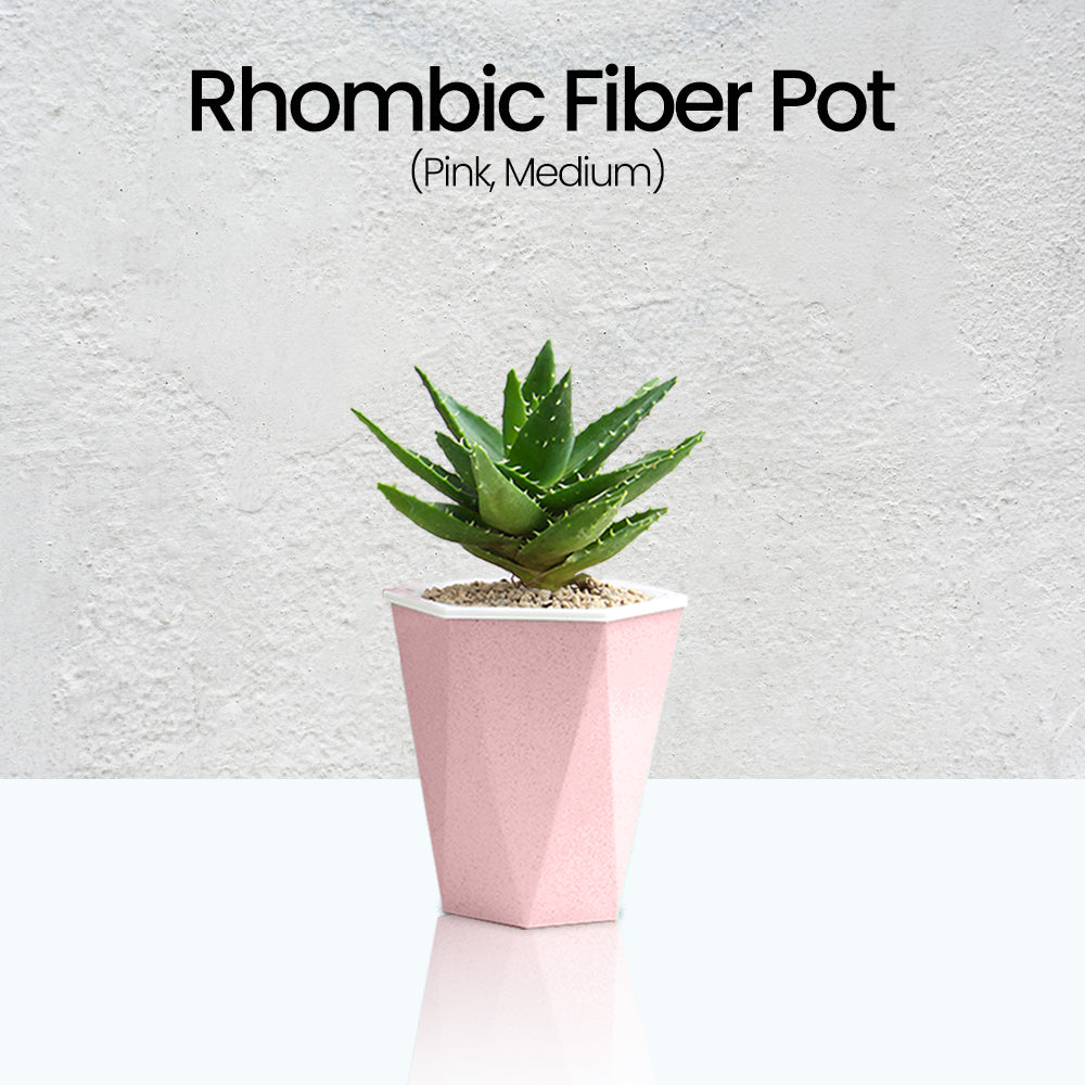 Locaupin Smart Self Watering Flower Pot Fiber Design Decorative and Minimalist Home Gardening Indoor Outdoor Planter