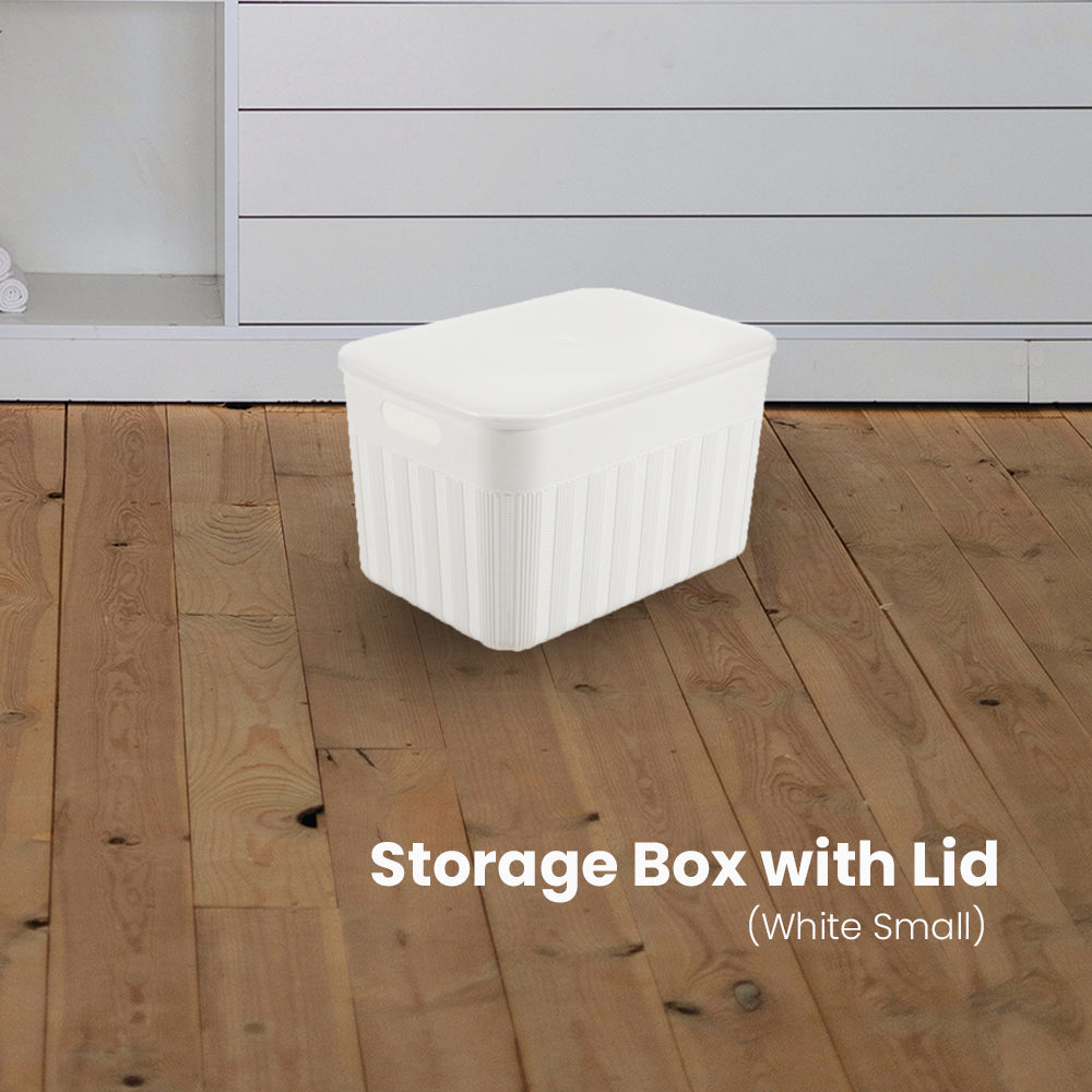 Locaupin Decorative Minimalist Wardrobe Storage Box with Cover Multifunctional Underwear Clothes Toys Books Cabinet Bedroom Organizer (Small)