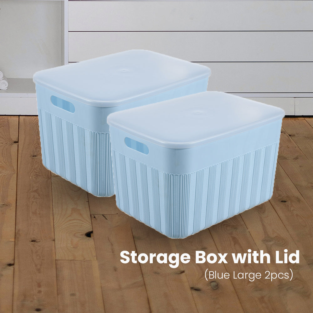 Locaupin Decorative Minimalist Wardrobe Storage Box with Cover Multifunctional Underwear Clothes Toys Books Cabinet Bedroom Organizer (Large)