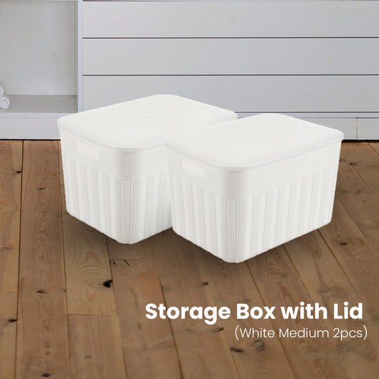 Locaupin Locaupin Decorative Minimalist Wardrobe Storage Box with Cover Multifunctional Underwear Clothes Toys Books Cabinet Bedroom Organizer (Medium)