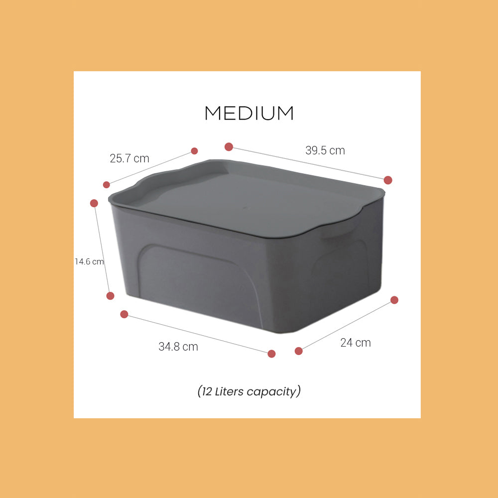 Locaupin 2pc Clothes Underwear Storage Box (Medium)