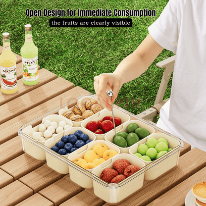 Locaupin Portable Multicompartment Container Fruits and Snacks Divided Tray with Lid and Handle Ideal for Party Travel Picnic Use