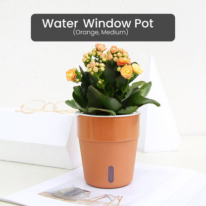 Locaupin Cylinder Pot with Water Window Self Watering Planter Home Indoor Outdoor Gardening For Flowers Plants Balcony Decoration
