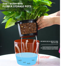 Load image into Gallery viewer, Locaupin Transparent Self Watering Planter Outdoor Plants Gardening Indoor Decorative Flower Pot with Drainage Holes
