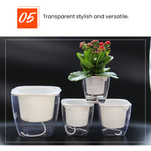 Load image into Gallery viewer, Locaupin Transparent Clear Plastic Self Watering System Planter Wicking Flower Pot for Plants Indoor Outdoor Home Gardening Decoration
