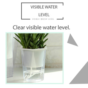 Locaupin Planter Wicking Flower Plants Pot Clear Transparent Bottom Water Storage Smart Self Watering System Home Gardening