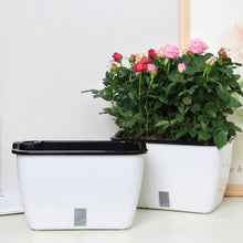 Load image into Gallery viewer, Locaupin Modern Home Garden Indoor Outdoor Rectangular Windowsill Plants Flower Plastic Self Watering Planter Pot with Water Level Indicator
