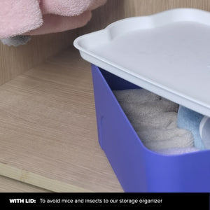 Locaupin Multipurpose Storage Box Wardrobe Organizer Closet Underwear Socks Ties Cosmetic Box with White Lid