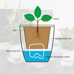 Locaupin Transparent Clear Plastic Self Watering System Planter Wicking Flower Pot for Plants Indoor Outdoor Home Gardening Decoration