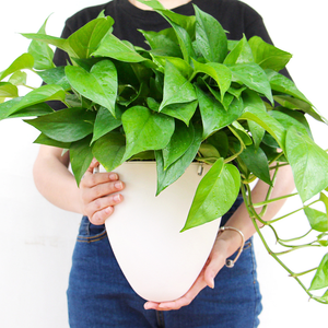 Locaupin Minimalist White Hanging Planter Decorative Flower Pot Indoor Outdoor Gardening Smart Self Watering System