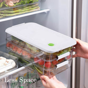 Locaupin Transparent PET Layered Fresh Fruit and Vegetable Refrigerated Sealed Storage Box