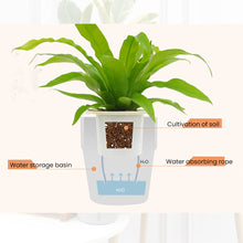 Load image into Gallery viewer, Locaupin Cylinder Pot with Water Window Self Watering Planter Home Indoor Outdoor Gardening For Flowers Plants Balcony Decoration
