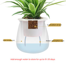 Load image into Gallery viewer, Locaupin Clear Plastic Round Wick Flower Pot For Indoor Plants Home Gardening Automatic Self Watering Planter

