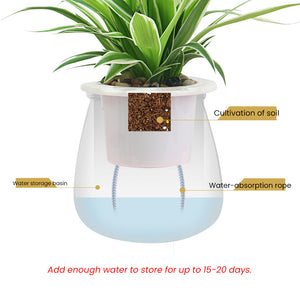 Locaupin Clear Plastic Round Wick Flower Pot For Indoor Plants Home Gardening Automatic Self Watering Planter