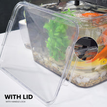 Load image into Gallery viewer, Locaupin DIY Customize Heavy Duty Storage Box Aquarium Small Fish Isolation Tank Feeding Container with Lid For Garden Living Room Display
