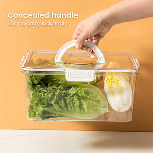 Locaupin Multi Compartment Classified Food Container with Locking Lid and Handle Fruits and Vegetable Fresh Storage Fridge Organizer Bin