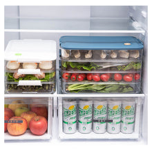 Load image into Gallery viewer, Locaupin Transparent PET Layered Fresh Fruit and Vegetable Refrigerated Sealed Storage Box
