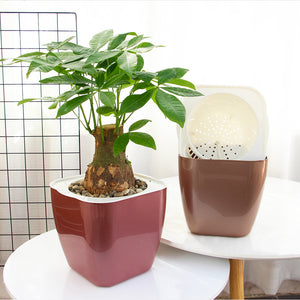 Locaupin Glossy Design Plastic Plant Pot Self Watering System Indoor Outdoor Gardening Planter With Detachable Inner Basket