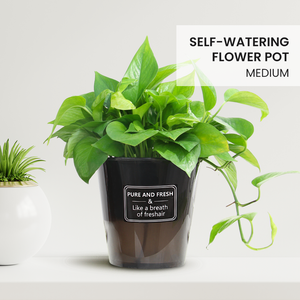Locaupin Plastic Metallic Shade Indoor Outdoor Decorative Smart Self Watering System Flower Pot with Inner Basket Storage Planter