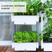 Load image into Gallery viewer, Locaupin 2 Layer Rectangular Self Watering Planter Shelf with Wheels and Water Level Indicator For Indoor Outdoor Home Gardening Flower Plants

