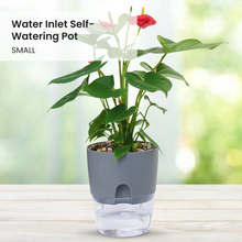 Load image into Gallery viewer, Locaupin Water Inlet Self Watering Pot Indoor Outdoor Flower Plants Modern Planter Clear Bottom Storage Decorative Home Gardening
