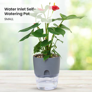 Locaupin Water Inlet Self Watering Pot Indoor Outdoor Flower Plants Modern Planter Clear Bottom Storage Decorative Home Gardening