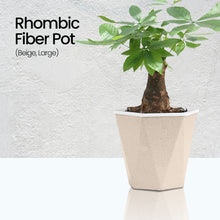 Load image into Gallery viewer, Locaupin Smart Self Watering Flower Pot Fiber Design Decorative and Minimalist Home Gardening Indoor Outdoor Planter

