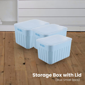 Locaupin Decorative Minimalist Wardrobe Storage Box with Cover Multifu –  LocaupinPH