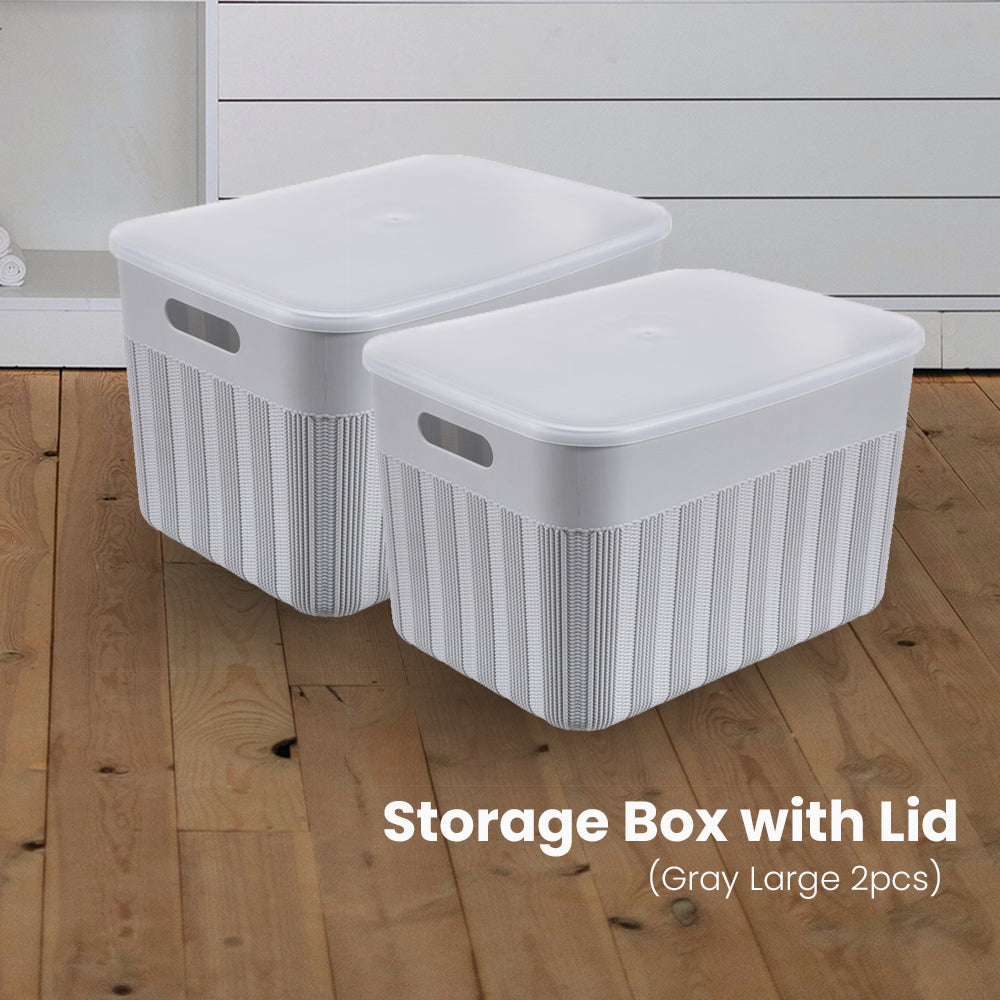 Locaupin Decorative Minimalist Wardrobe Storage Box with Cover Multifunctional Underwear Clothes Toys Books Cabinet Bedroom Organizer (Large)