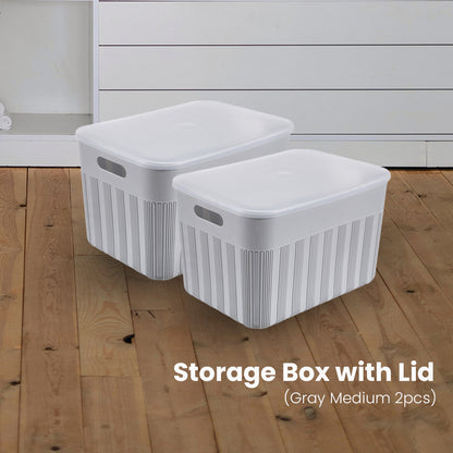 Locaupin Locaupin Decorative Minimalist Wardrobe Storage Box with Cover Multifunctional Underwear Clothes Toys Books Cabinet Bedroom Organizer (Medium)