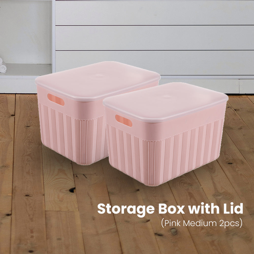 Locaupin Locaupin Decorative Minimalist Wardrobe Storage Box with Cover Multifunctional Underwear Clothes Toys Books Cabinet Bedroom Organizer (Medium)