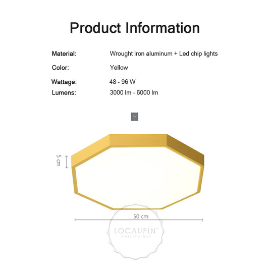 Locaupin Classy Ceiling Light