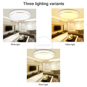 Locaupin Plain Classic Flush Mount LED Simple Ceiling Light Modern Lamp for Restaurant Kitchen Dining Living Room Corridor