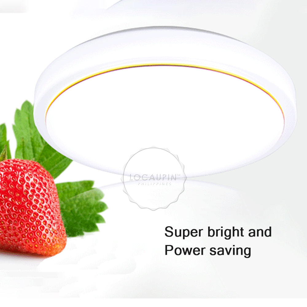 Locaupin Plain Classic Flush Mount LED Simple Ceiling Light Modern Lamp for Restaurant Kitchen Dining Living Room Corridor